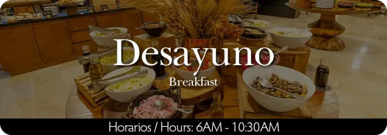 desayuno-inter-movich