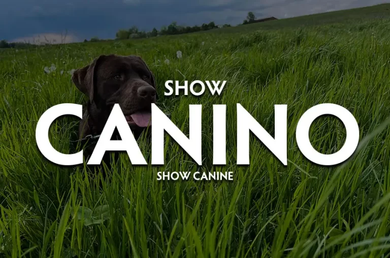 show canino lomas